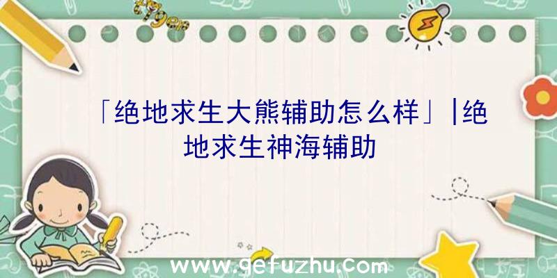 「绝地求生大熊辅助怎么样」|绝地求生神海辅助